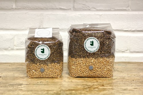 All one grain - spawn, bulk